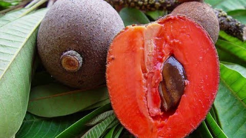 Zapote negro фрукт