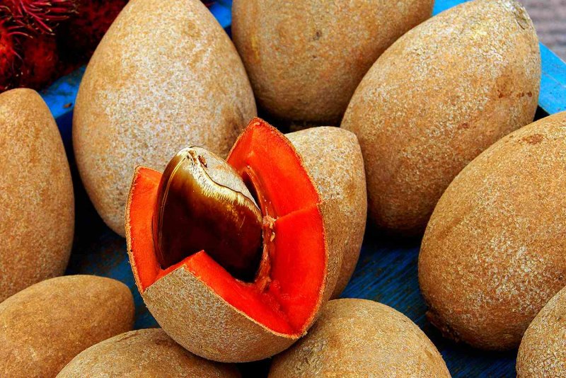 Mamey Sapote что это
