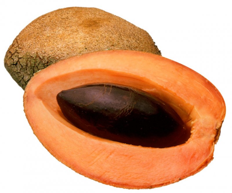 Mamey Sapote что это