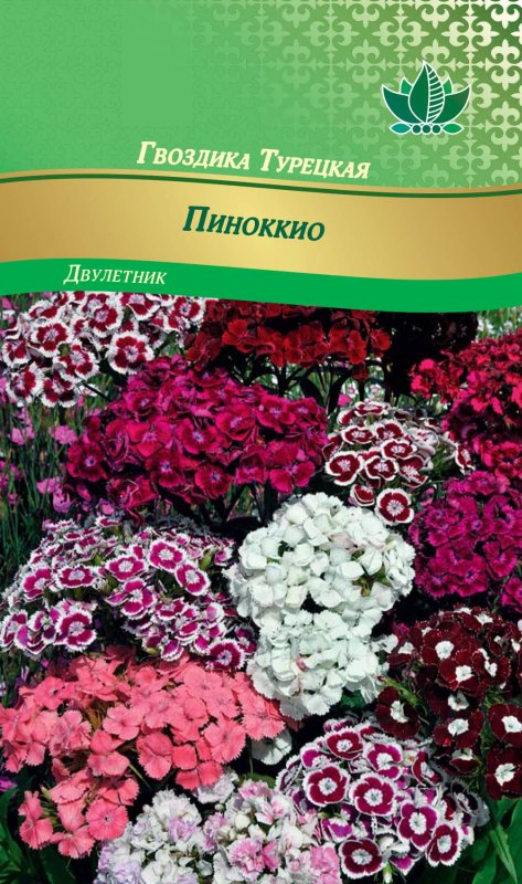 Гвоздика турецкая смесь двулетник