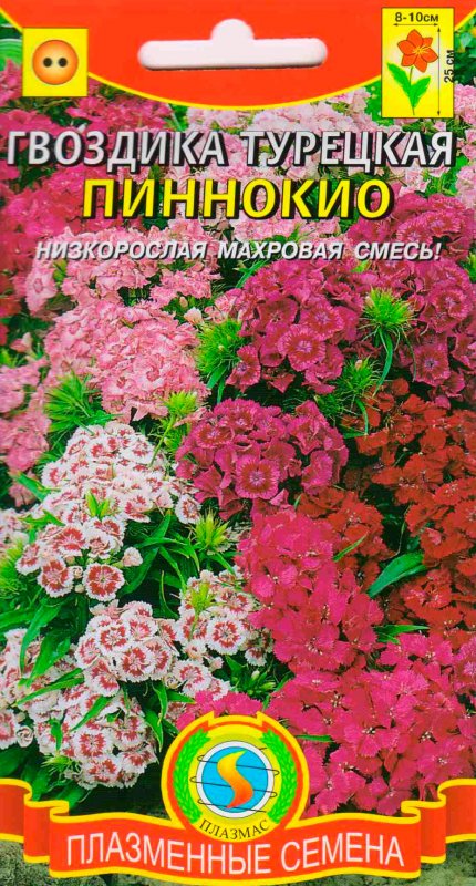 Гвоздика индийская