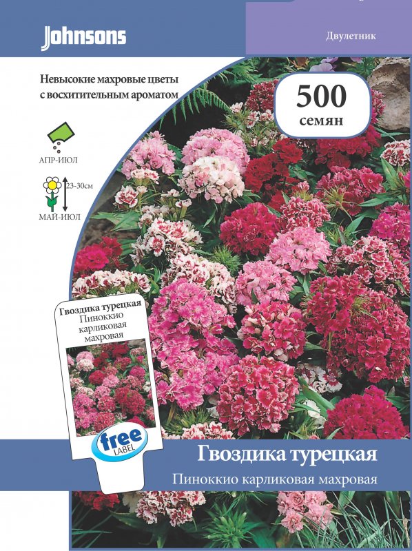 Гвоздика бородатая - Dianthus barbatus
