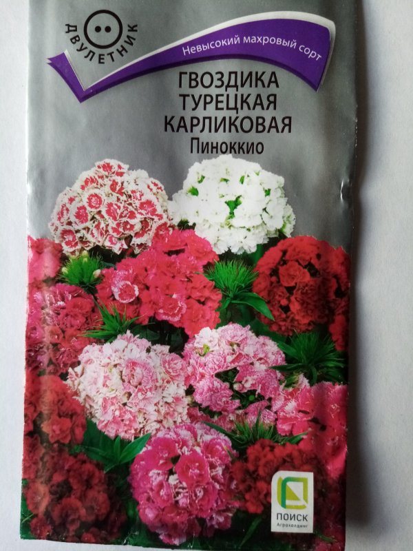 Гвоздика турецкая Пиноккио