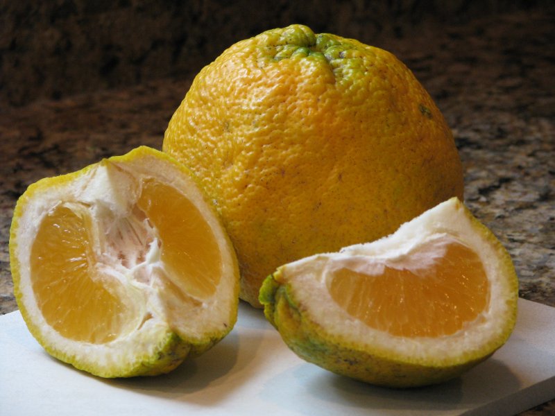 Агли (углифрут)