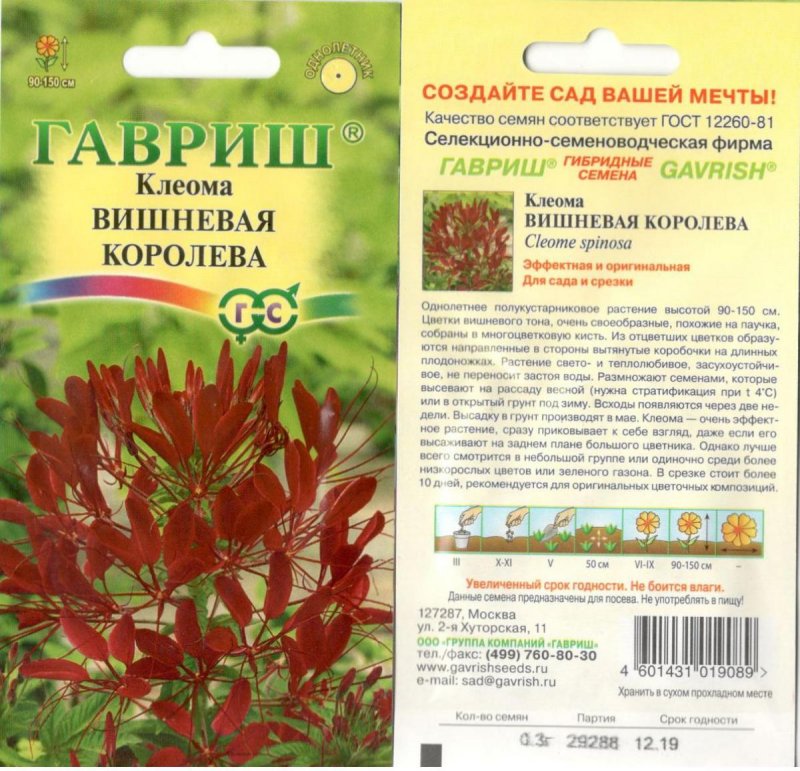 Семена Гавриш клеома Вишневая Королева 0,3 г