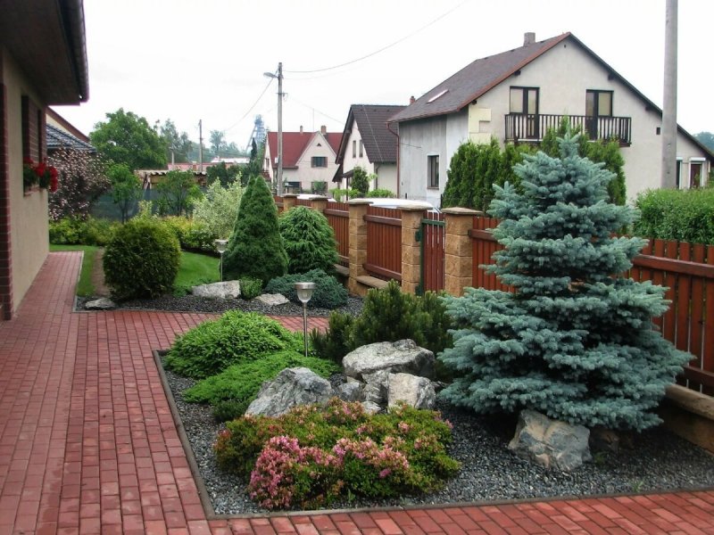 Хвойные клумбы кипарисовик