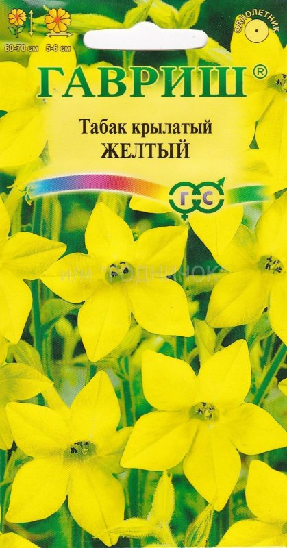 Табак желтый крылатый Гавриш