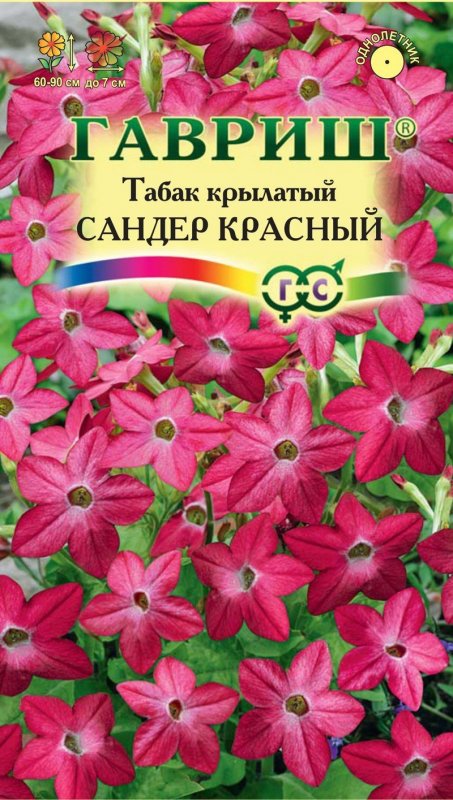 Табак душистый лаймовый Жасмин