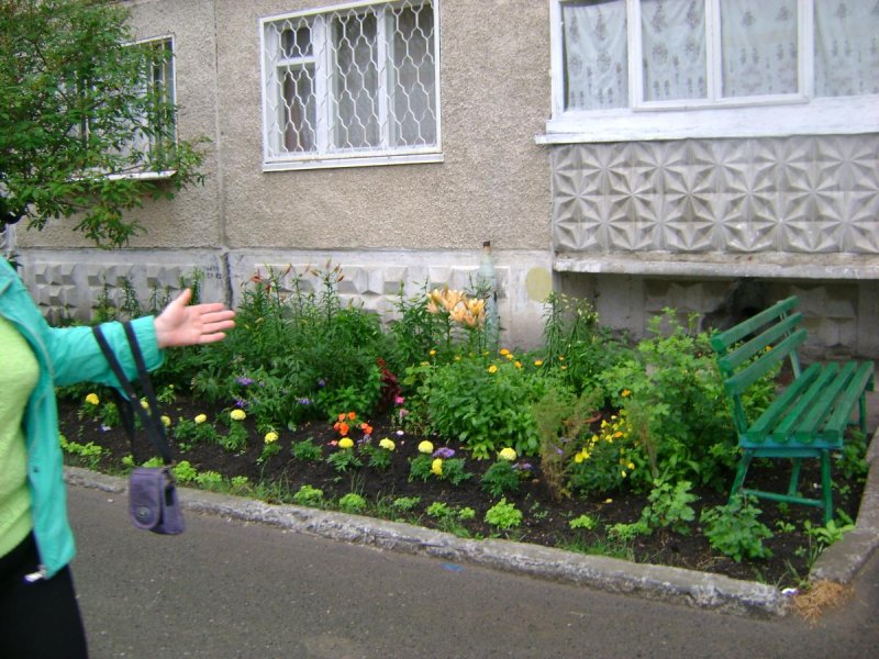 Огород возле многоквартирного дома