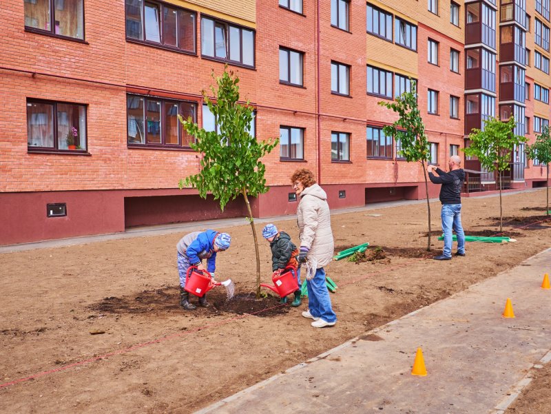 Лес за многоквартирным домом