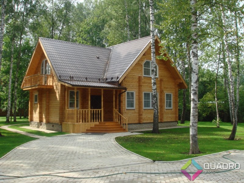 Ива плакучая декоративная карликовая