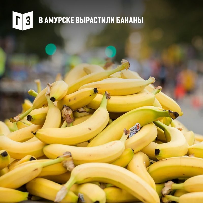 Куча бананов