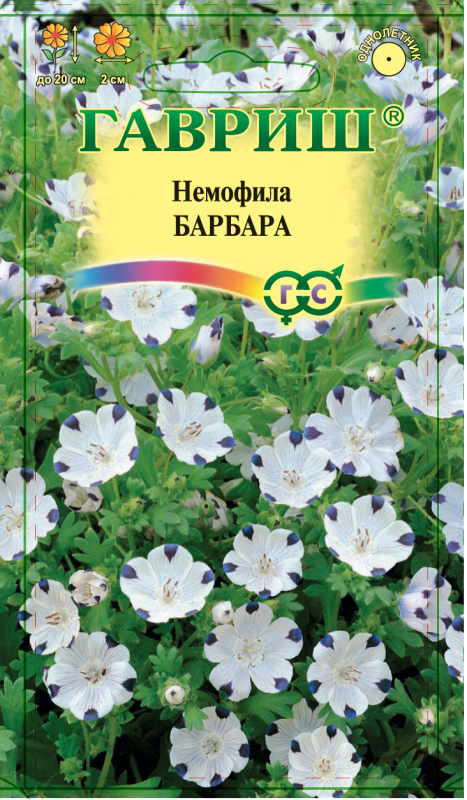 Немофила Барбара