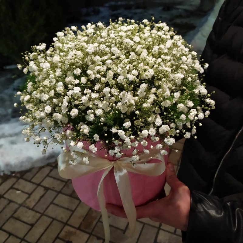 Гипсофила Кизляр