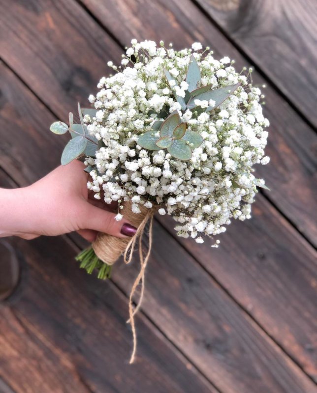 Гипсофила Baby's Breath