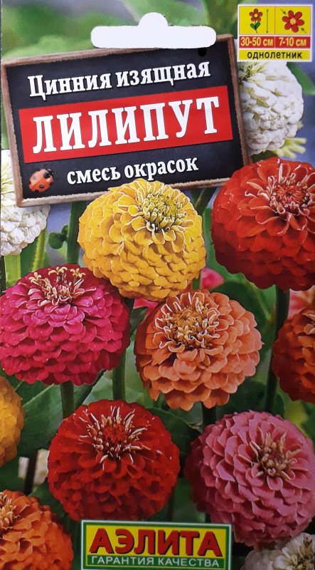 Циния карат Аэлита