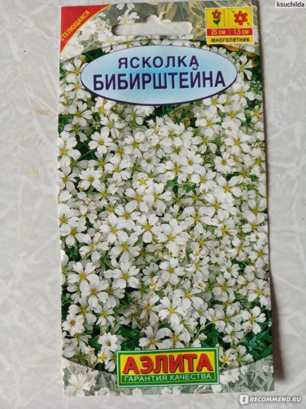 Гипсофила Ясколка