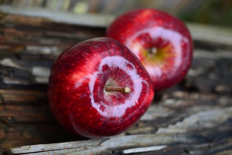 Star Apple