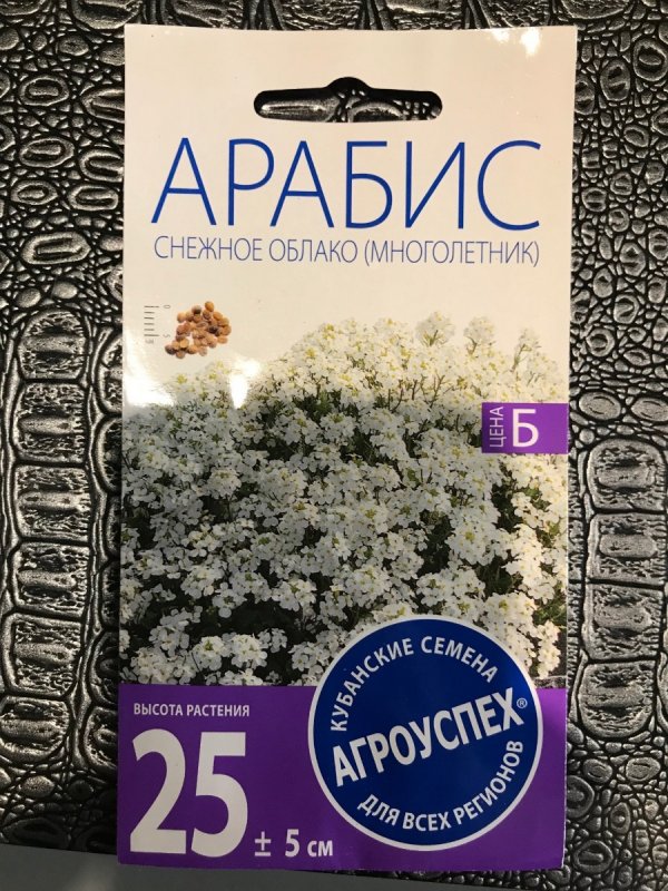 Почвопокровные многолетники Арабис