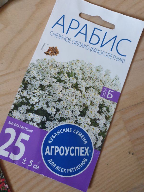 Арабис Альпийский снежок
