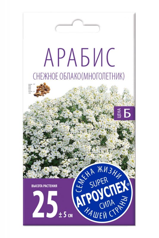 Arabis PROCURRENS 'Glacier'