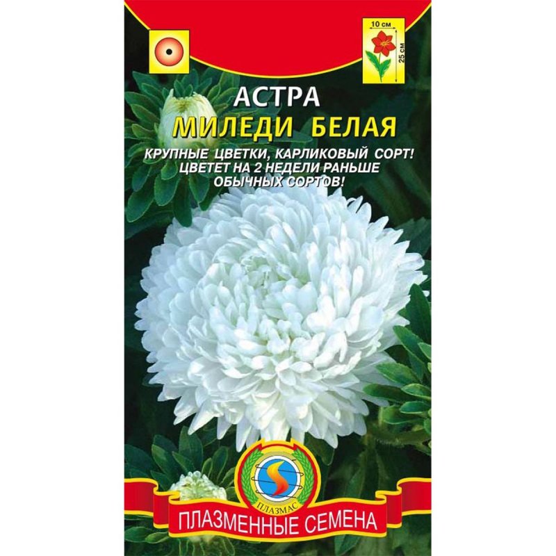 Астра супер Миледи микс