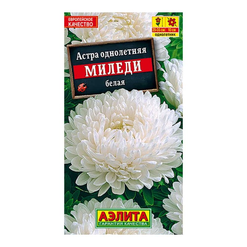 Астра Миледи смесь окрасок