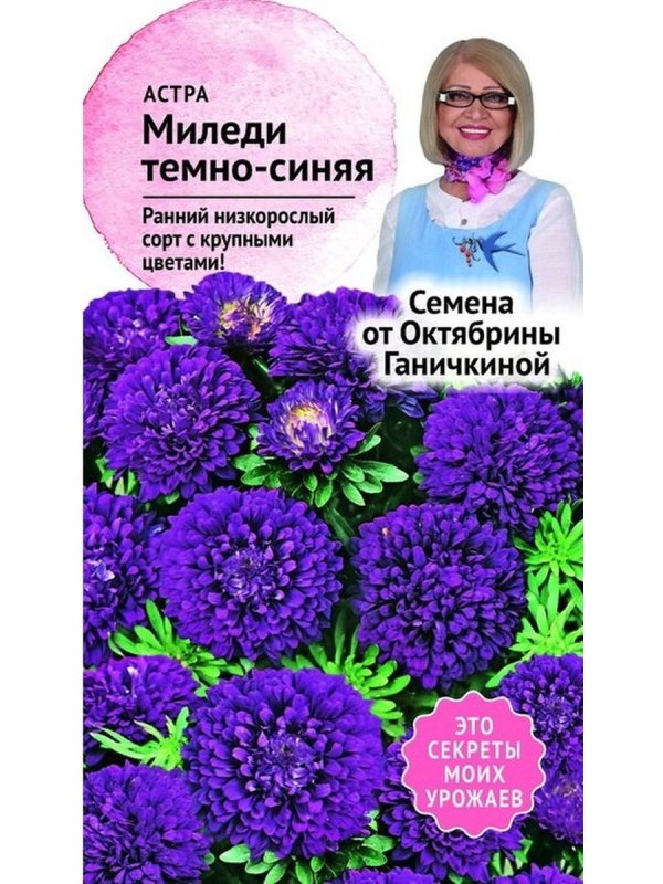 Хризантема Девичья Сноу бол