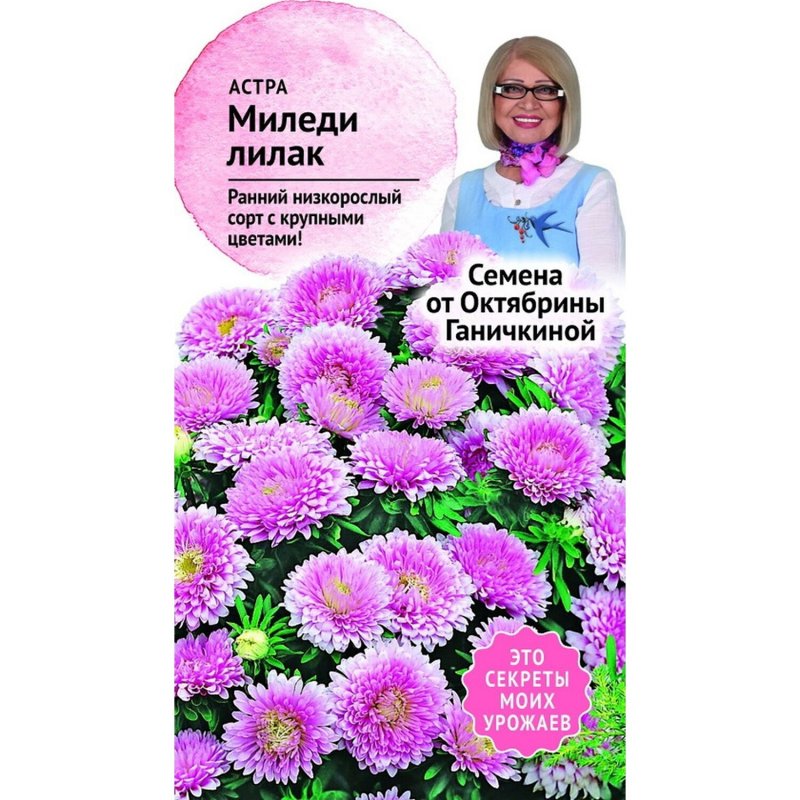 Семена астры Аполлония смесь