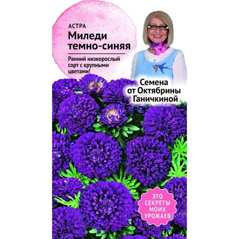 Семена астры Октябрины Ганичкиной