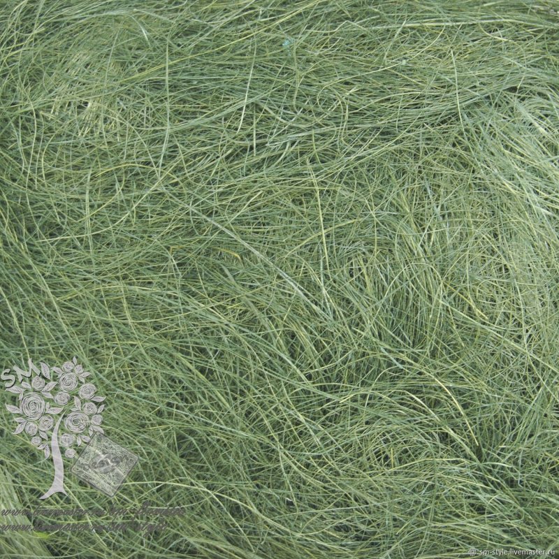 Festuca orientalis