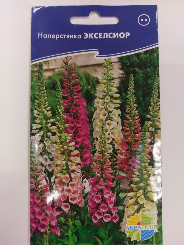 Наперстянка пурпурная (purpurea)