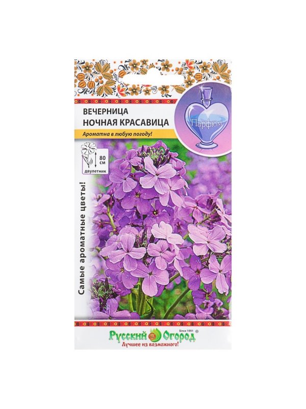 Маттиола ночная фиалка
