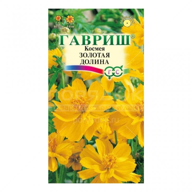 Космея Золотая Долина махровая Гавриш