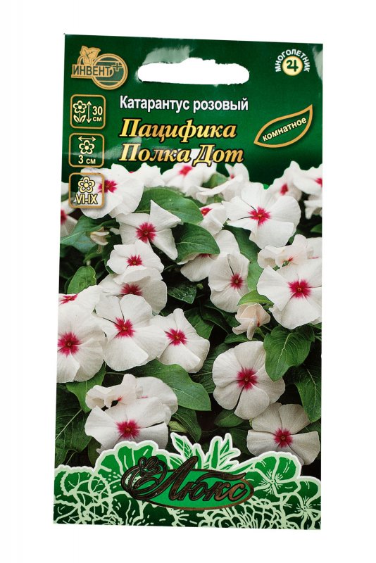 Катарантус Пацифика полка