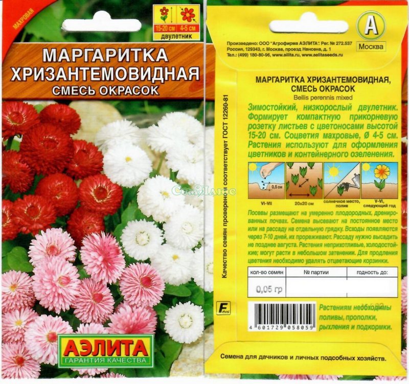 Древовидная Маргаритка