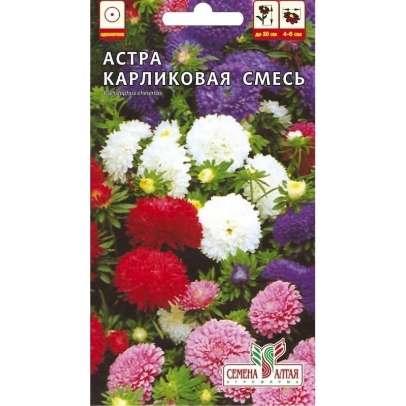 Астра коготковая смесь окрасок