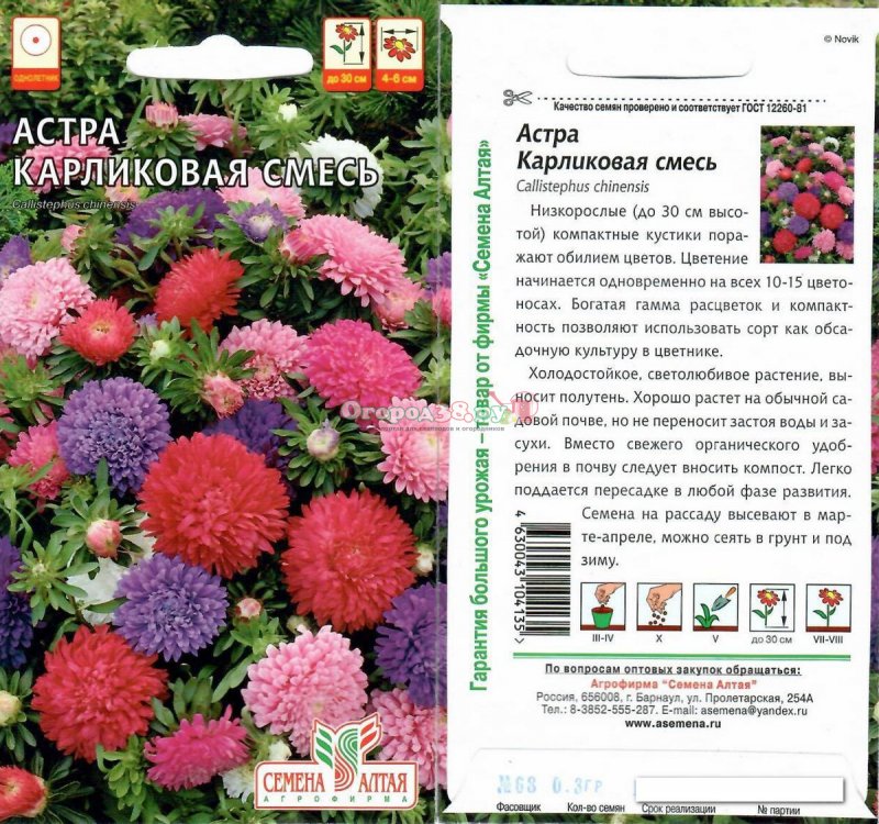Астра низкорослая смесь окрасок