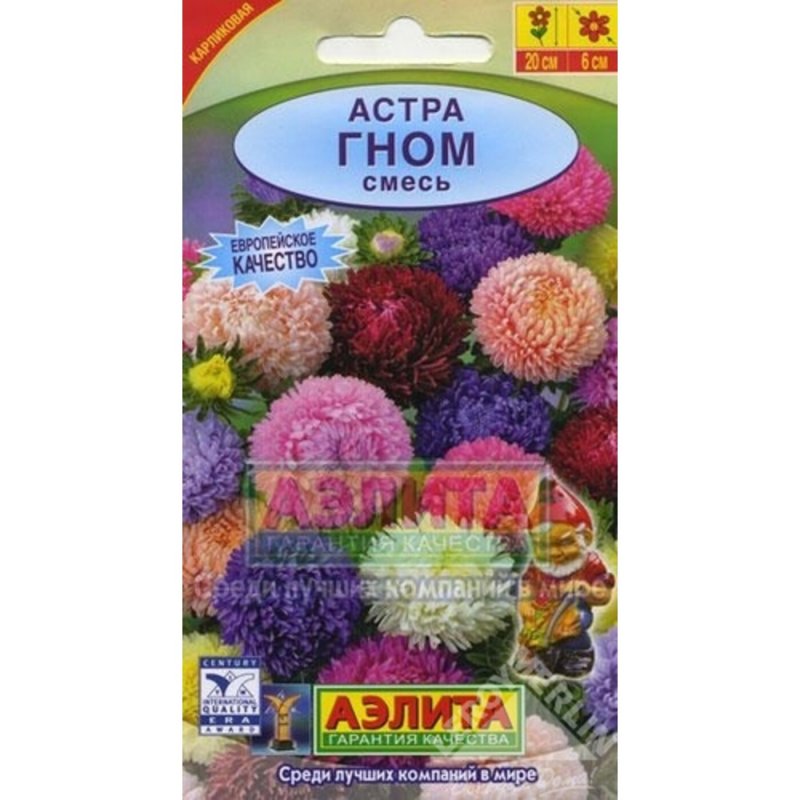 Астра многолетняя Альпийская смесь