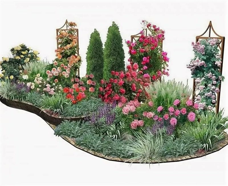 Клумба с розами