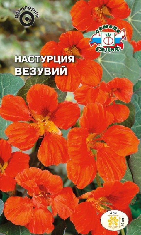 Настурция махровая