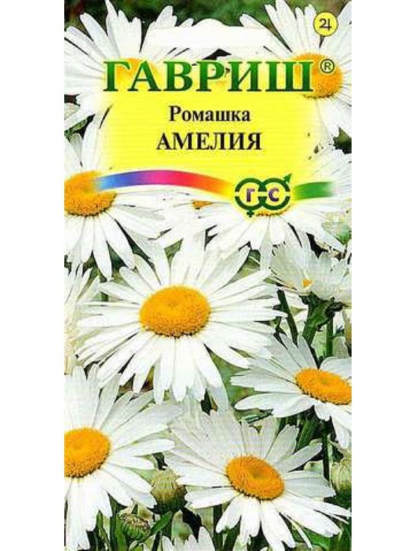 Семена нивяник крупный Аляска