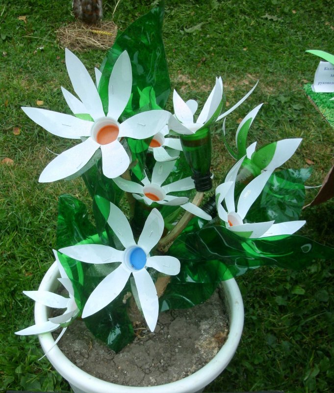 Цветы из пластиковых бутылок для дачи