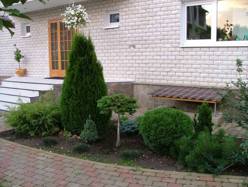 Дзержинский хвойники