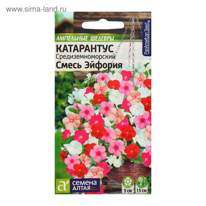 Катарантус Пацифика Априкот