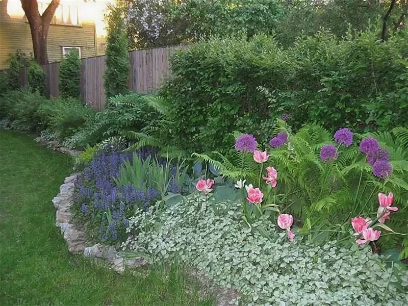 Лобелия и розы на клумбе