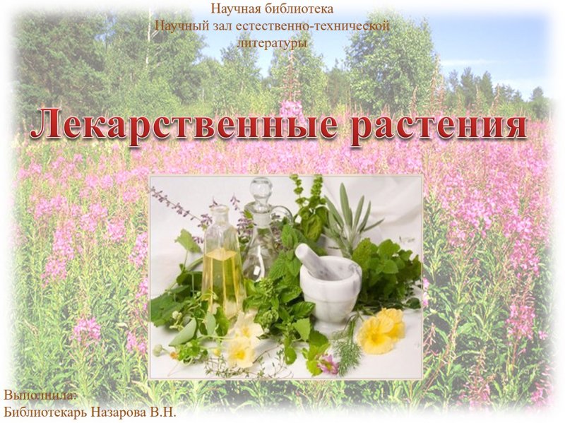 Выставка лекарственных растений