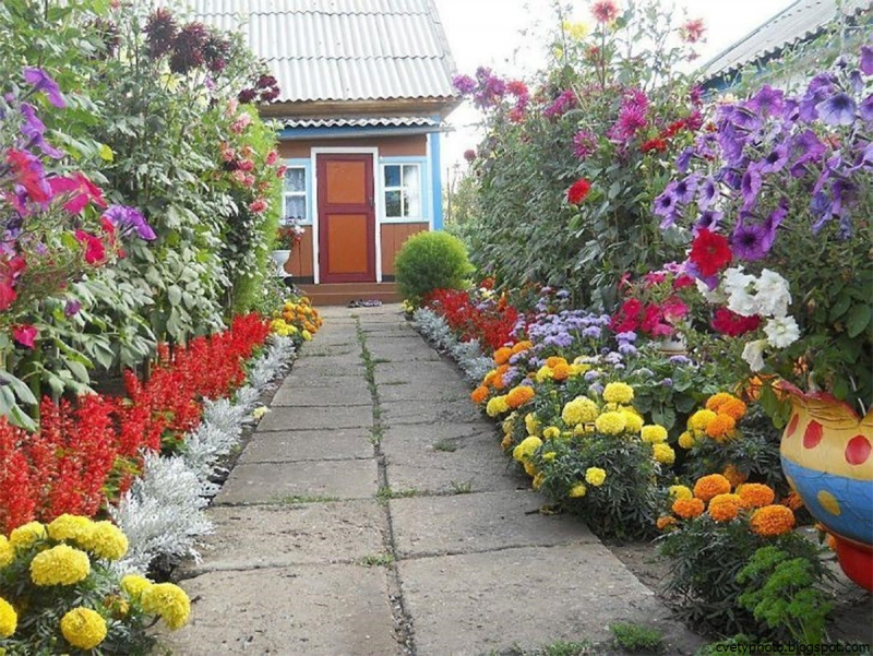 Красивые цветники на даче