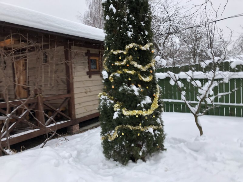 Искусственная ель на дачном участке