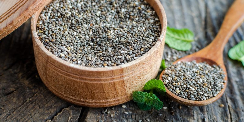 How i grow and Harvest Organic chia Seeds
